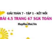 Giải bài 4.5 trang 67 Toán 7 Tập 1 SGK Kết nối tri thức